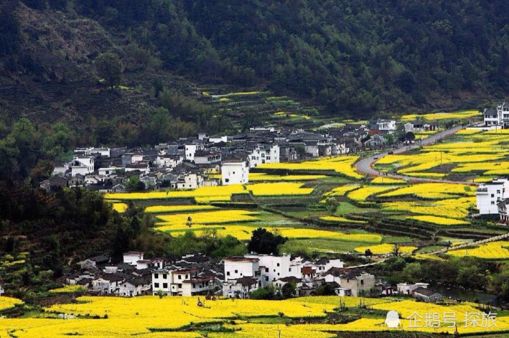 江西盛启，领导同舟，同胞共筑美好未来