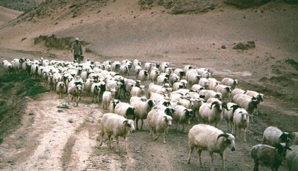 宁夏探秘,风土人情与美景一览