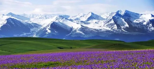 新疆巷弄风情与隐秘小店探秘